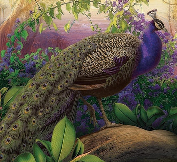 PEACOCK PERCH, FLOWERS, BIRD, PLANTS, PAINTING, PEACOCK HD wallpaper