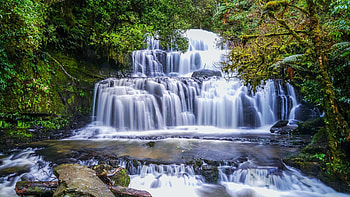 Purakaunui Falls, New Zealand, trees, cascades, river, forest, rocks HD wallpaper