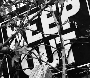 Keep Out, thorns, , sign HD wallpaper