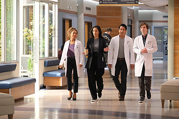 Dr. Shaun Murphy, TV Shows, Characters, Actors HD wallpaper