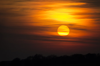 Nature, Trees, Sunset, Sky, Sun, Clouds HD wallpaper