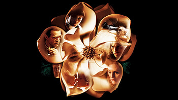 Magnolia HD wallpaper