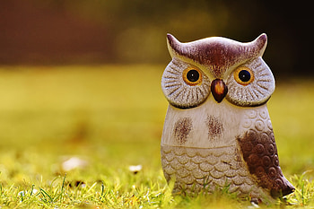 Funny Owl, animal, bird, deco, cute, meadow, funny, owl HD wallpaper