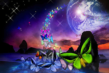 butterfly .jpg, fluttering, dreams, trails HD wallpaper
