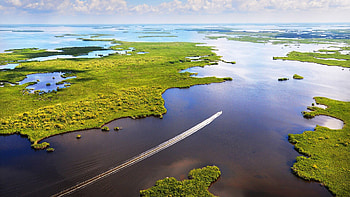 Everglades National Park, RV adventure, Discover with cu camper HD wallpaper