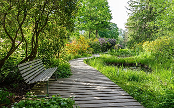 Wooden Path in Park, wooden, bench, path, park HD wallpaper