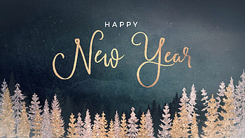 New Year celebration, Festive fireworks, Joyful gathering, Glittering decorations HD wallpaper