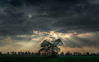 Before the storm, nature, storm HD wallpaper