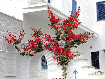 beautiful house, beautiful, architecture, griece, house HD wallpaper
