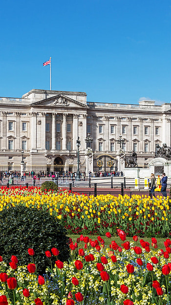 Buckingham Palace, Nature , Baltana, Buckingham Palace HD phone wallpaper