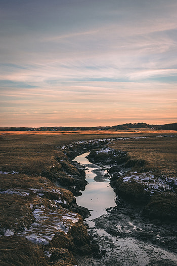 Nature, Rivers, Grass, Sky, Horizon, Flow, Creek, Brook HD phone wallpaper