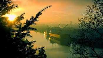 glorious morning on a river port, mist, river, ships, morning, trees HD wallpaper