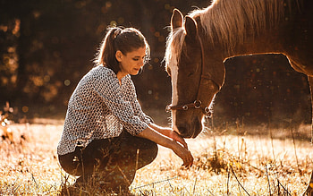 Minor and Bettina, animal, horse, friends, woman HD wallpaper