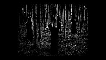 coven HD wallpaper