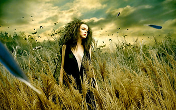 GIRL in the FIELD, girl, birds, feathers, field HD wallpaper