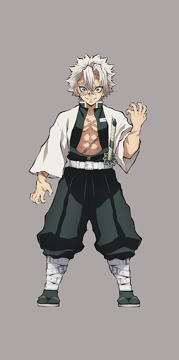 Shinazugawa, human HD phone wallpaper