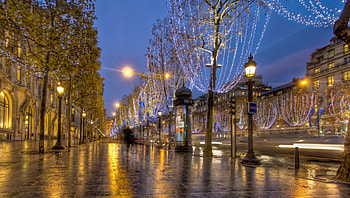 holiday lit paris sidewalk r, rain, city, lights, cobblestonesw, sidewalk, trees, r HD wallpaper