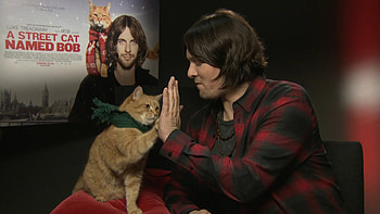 James Bowen, Bob the cat, Big screen, Life portrayed HD wallpaper