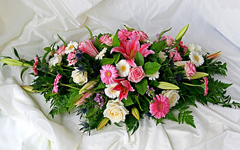 Plants, Flowers, Bouquets HD wallpaper