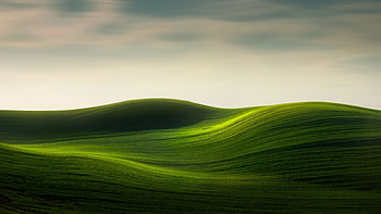 Digital hills, digital, hills, abstract, art, green, grass HD wallpaper