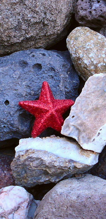 Rocks, Starfish HD phone wallpaper