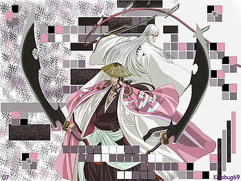 Shunsui and Jyuuahiro , bleach, anime, ukitake jyuuahiro, kyouraku shunsui, shikai, two sword HD wallpaper