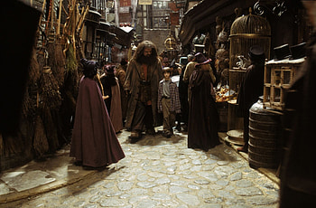 Harry and Hagrid, Diagon Alley adventure, Magical shopping spree, Friends forever HD wallpaper
