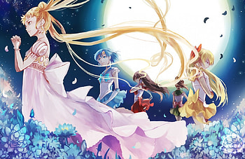 Moon Pride, night, blond hair, blonde, sailormoon, sailor venus, sailor mercury, nice, petals, flower, blonde hair, female, blossom, sweet, twintail, girl, anime girl, anime, pretty, sailor moon, twin tail, lovely, floral, twin tails, dress, long hair, serenity, beauty, moon, twintails, group, blond, scene, princess serenity, sailor mars, magical girl, beautiful, sailor jupiter, princess HD wallpaper