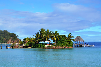 Nature, Sea, Palms, Summer, Tropics HD wallpaper