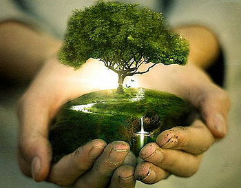 Tree in Hand, manipulations, , interesting HD wallpaper
