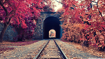Armenia Yeravan railway park, scene, fall, landscape, , railway, seasons, tree, autumn, nature HD wallpaper
