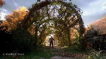 Video Game, A Plague Tale: Innocence HD wallpaper