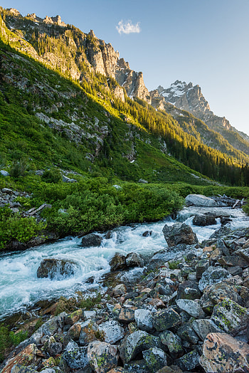 Nature, Rivers, Trees, Stones, Mountains HD phone wallpaper