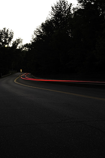 Trees, Dark, Road, Turn, Asphalt HD phone wallpaper