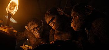 Kingdom of the Planet of the Apes Movie, movie, Kingdom of the Planet of the Apes HD wallpaper