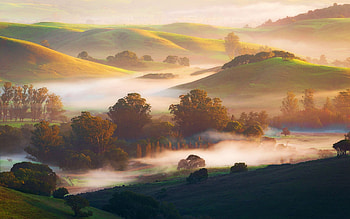 Fog hugging Northern California hills at sunrise, trees, landscape, sky, hills, usa HD wallpaper