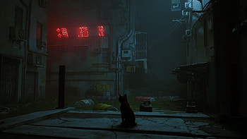 Stray game, Cryptic world, Innovative gameplay, Game News 24 exploration HD wallpaper