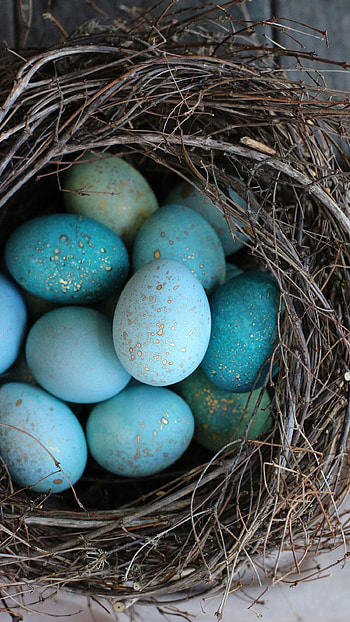 Easter, Blue Eggs HD phone wallpaper