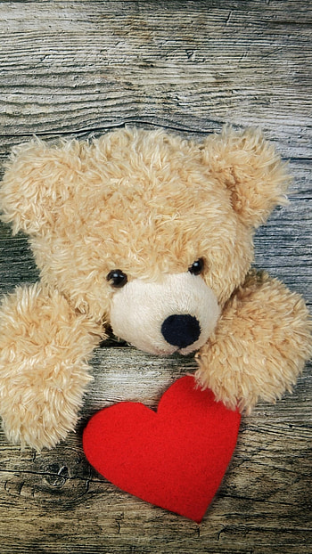 Teddy Bear Ka, Red Heart, Wooden, Background HD phone wallpaper