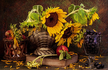 Still Life, fruits, nature, sunflowers HD wallpaper