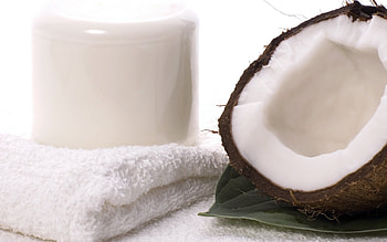 Coconut, Nature's wonder, Tasty treat, Coconut tree HD wallpaper