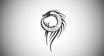 Dragon Minimal , dragon, minimalism, minimalist, artist, artwork, digital-art HD wallpaper