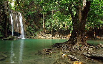 Waterfall, nature, forest, stream HD wallpaper