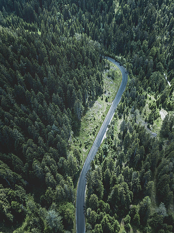 Nature, Trees, View From Above, Road, Turn, Forest HD phone wallpaper