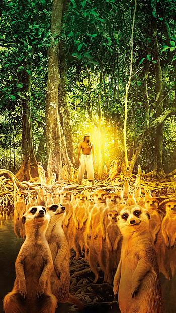 Life of Pi (2022) movie HD phone wallpaper
