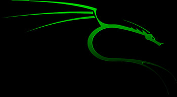 Kali Linux Nethunter , kali-linux, backtrack, linux, computer HD wallpaper