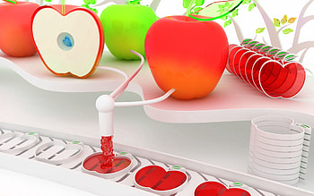 Fruits, Apples, 3D, Mechanism, System, Device HD wallpaper