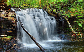 Nature, Rivers, Grass, Waterfall, Moss HD wallpaper