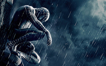 Black Spider Man , spiderman, superheroes, artwork HD wallpaper