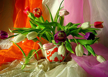 Bold And Beautiful, scarces, still life, vase, flowers, tulips HD wallpaper